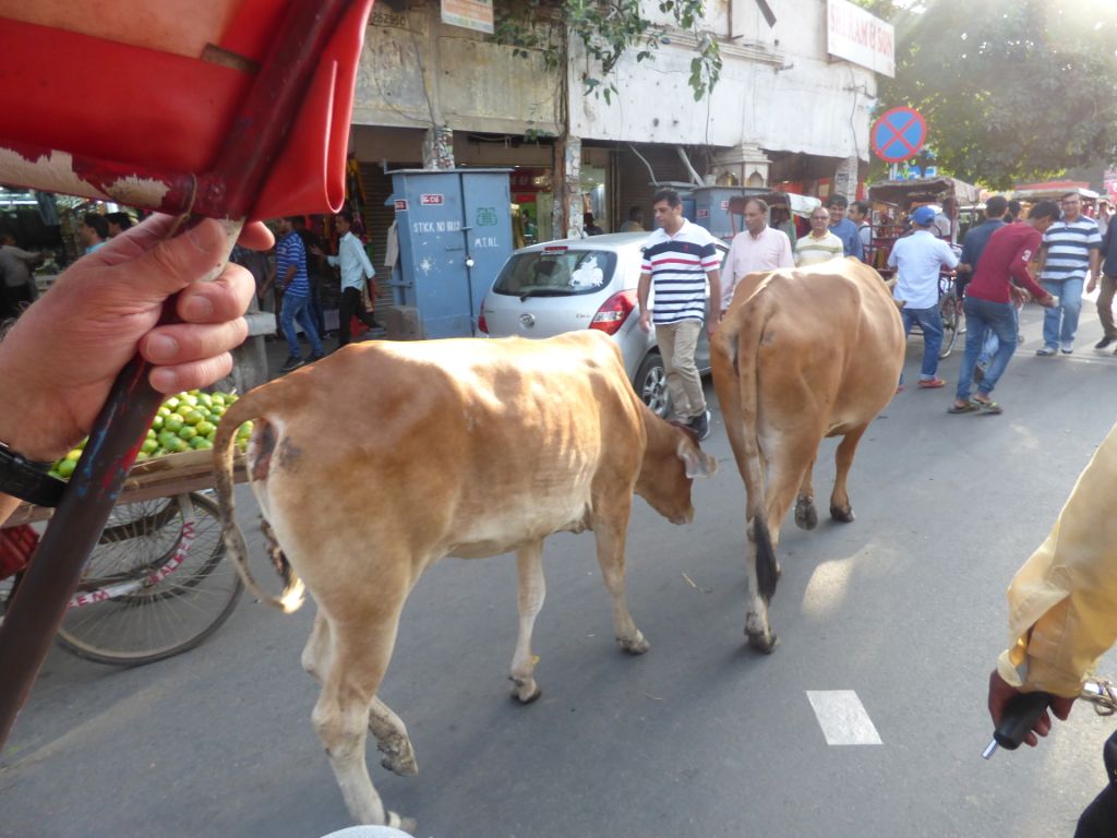 Erste Eindrücke von Dehli