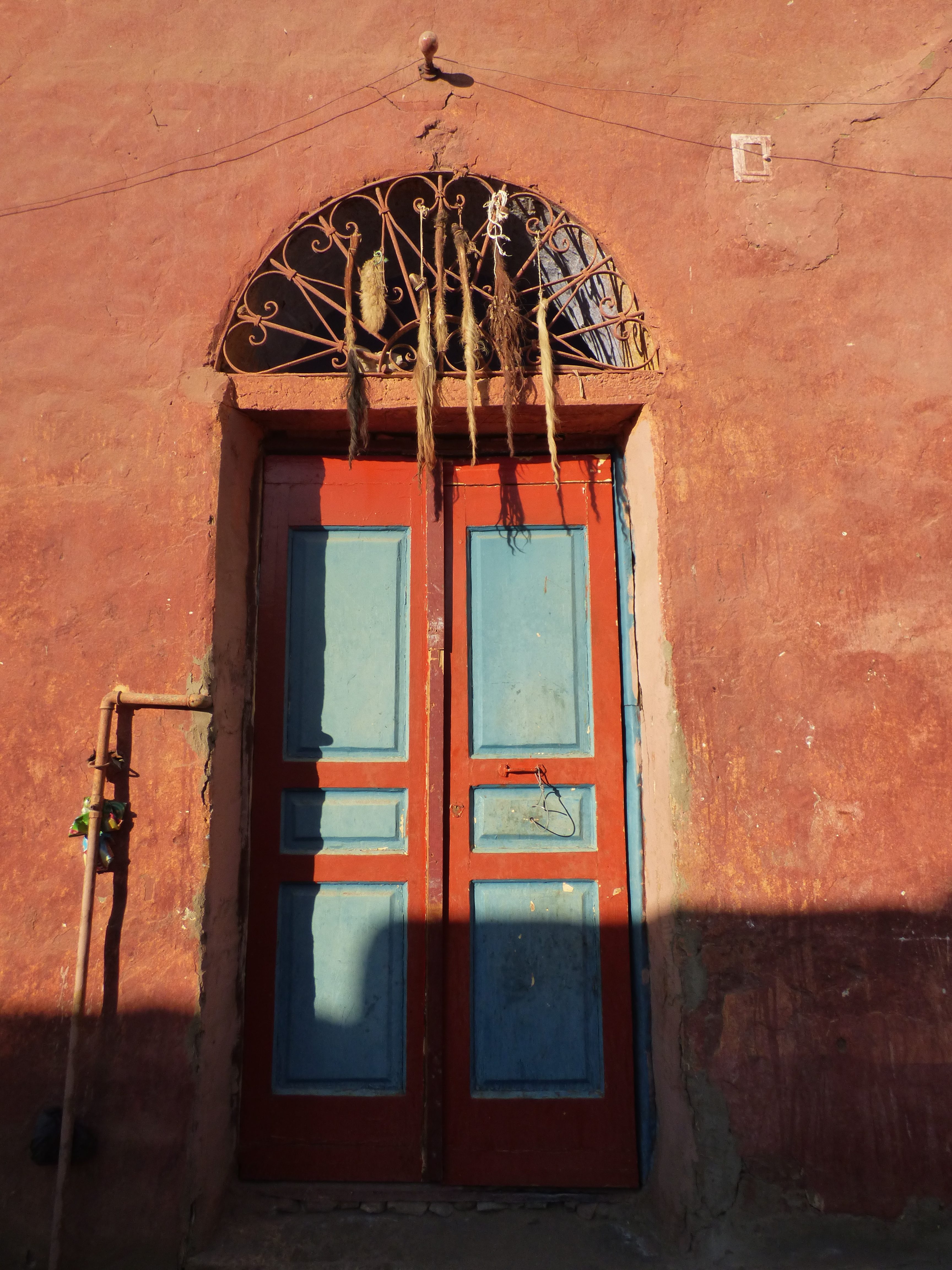 Daemonic Transmission