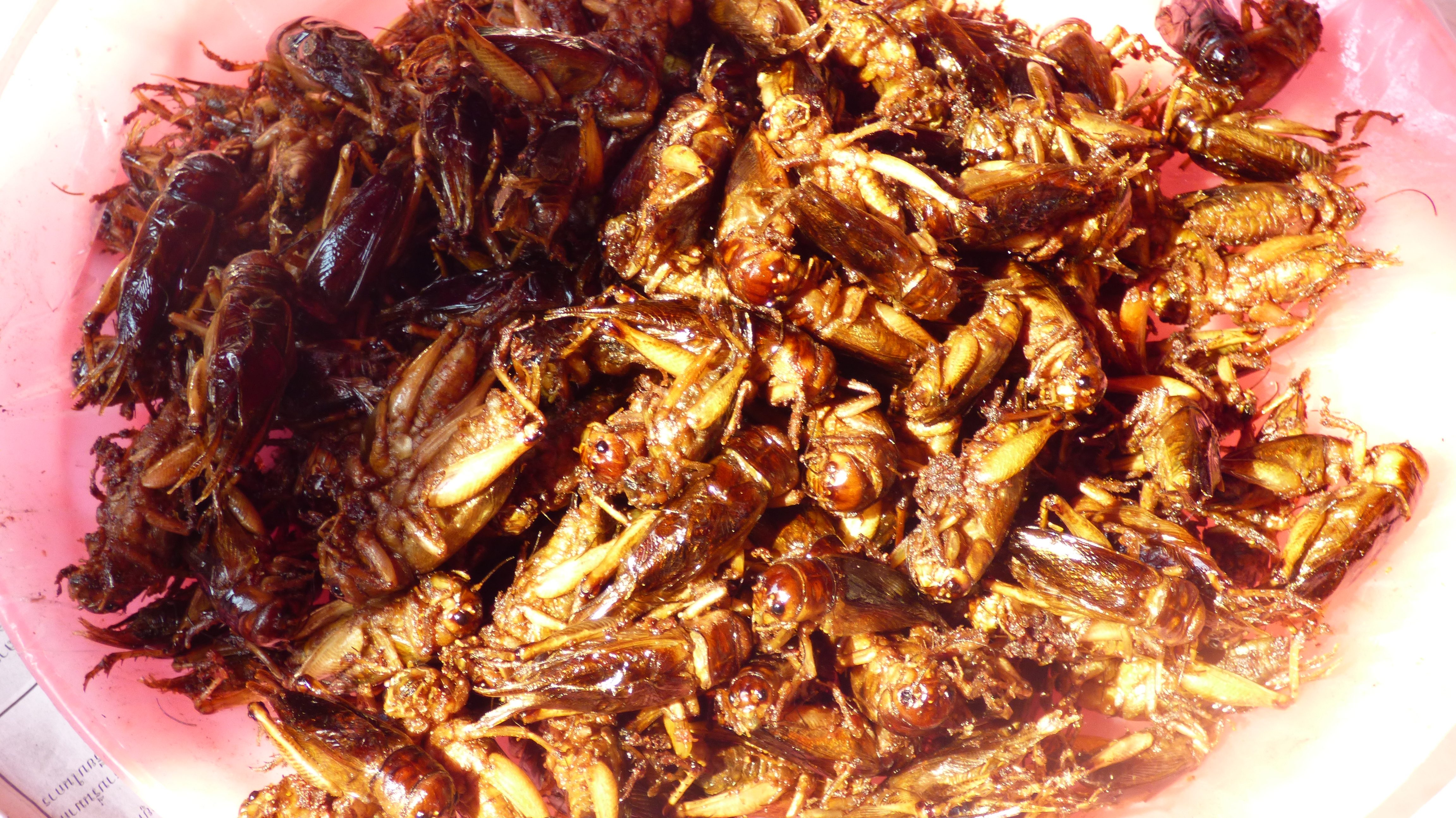 Ein Tag in Chiang Mai (Teil 5)