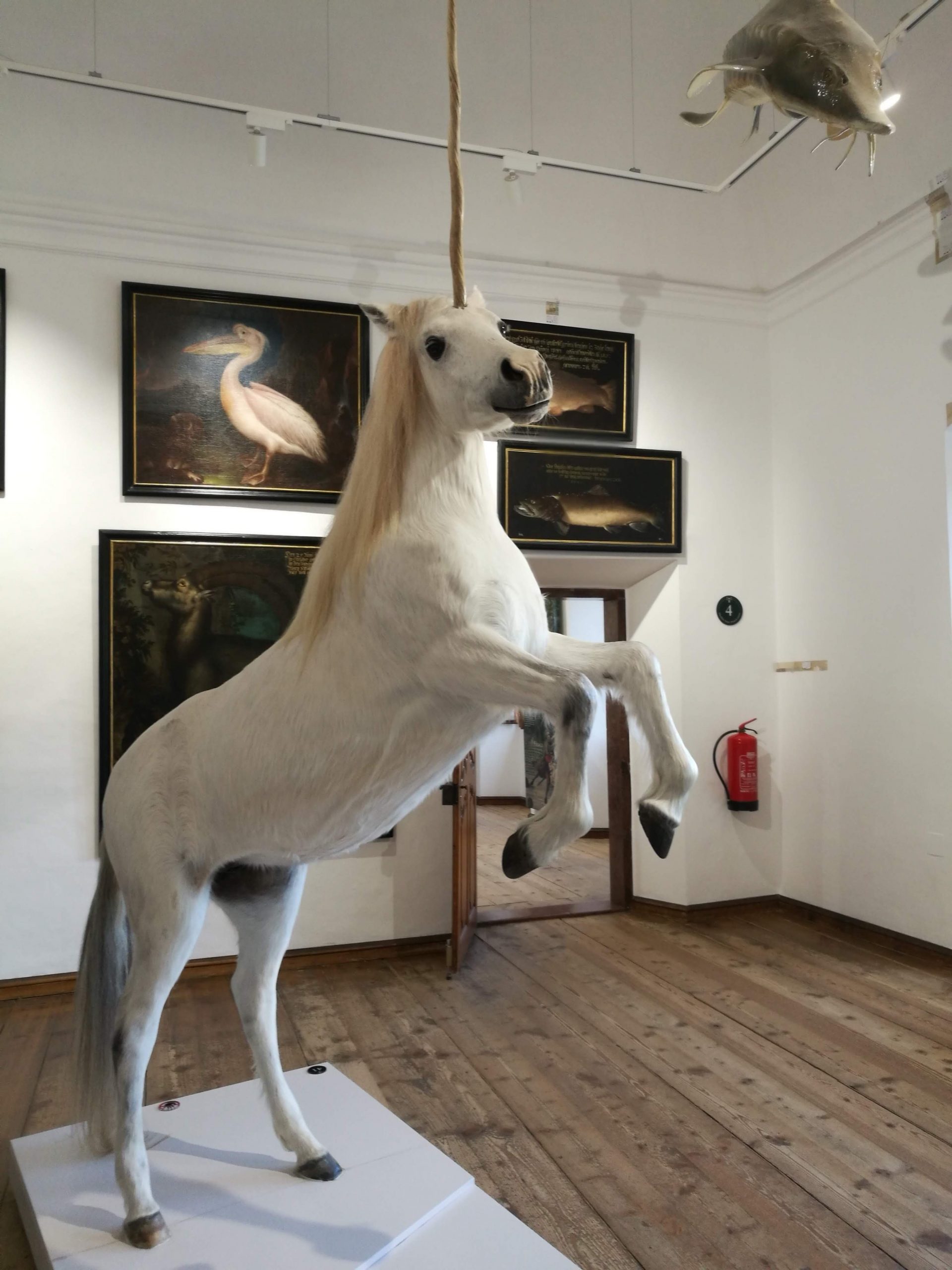 Die Wasserspiele in Hellbrunn