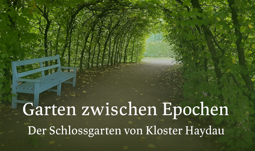 Garten zwischen Epochen: Der Schlossgarten von Kloster Haydau